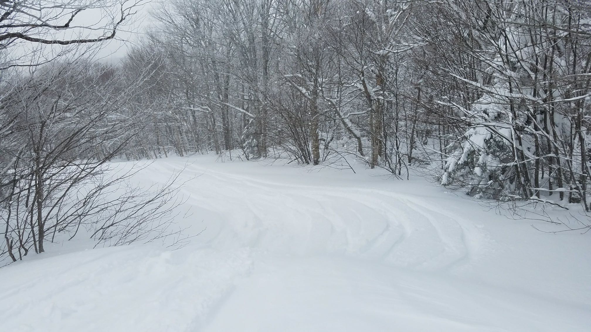 This is the reason for being in Vermont. Fresh barely tracked snow at Pico Mountain, March 2018